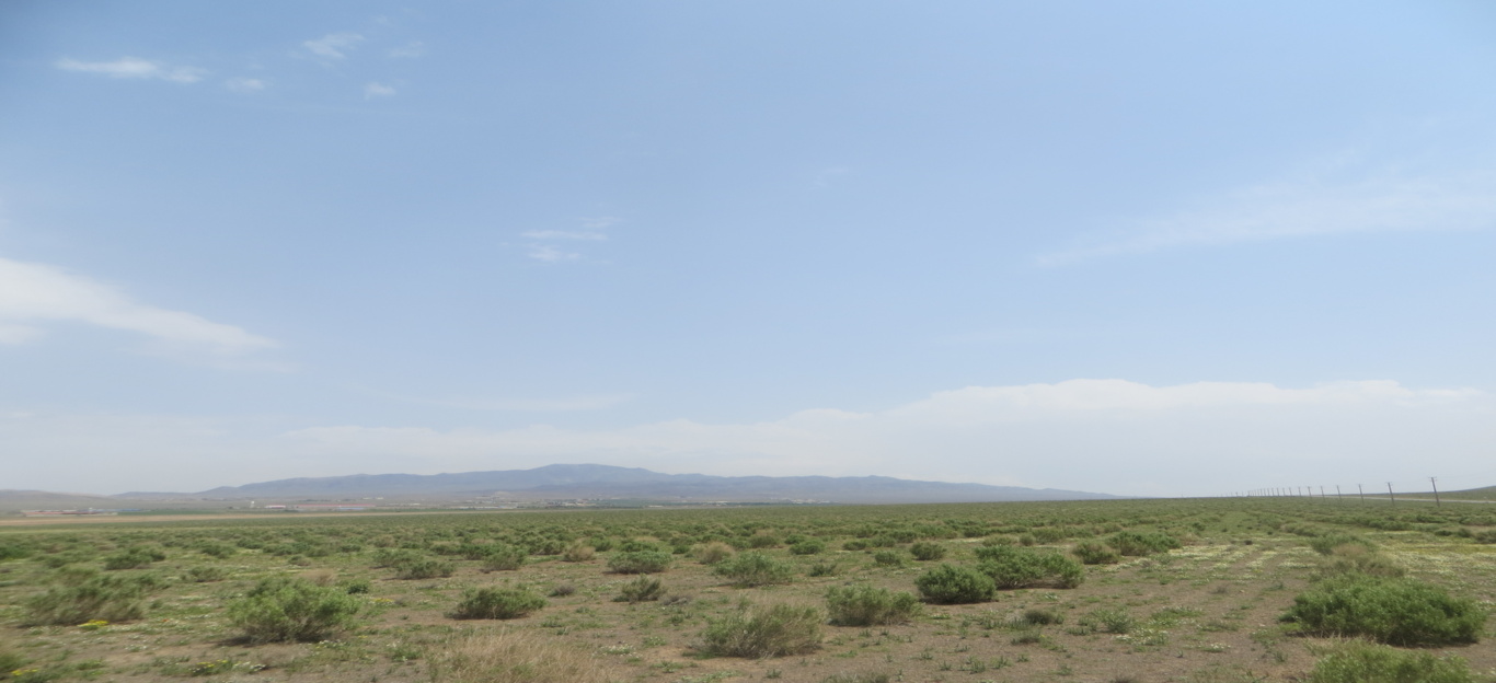 عکس‌های مرتع
