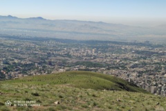 عکس‌های جنگل