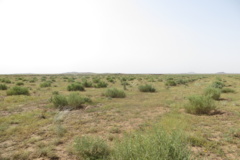 عکس‌های مرتع