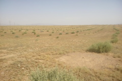 عکس‌های مرتع
