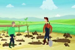 موشن زراعت چوب