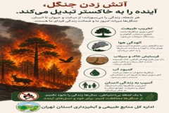 آتش زدن جنگل