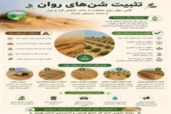 اینفوگرافیک