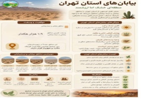 اینفوگرافیک