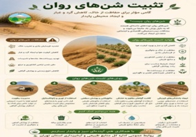 اینفوگرافیک