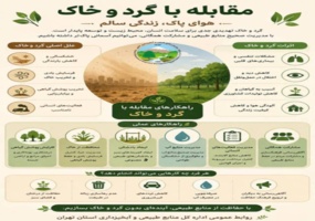اینفوگرافیک