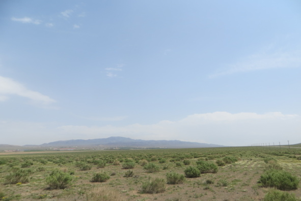 عکس‌های مرتع