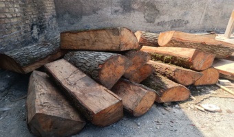 کشف و توقیف بیش از هزار و دویست کیلوگرم چوب قاچاق توسکا در شهرستانهای جنوب غرب استان تهران