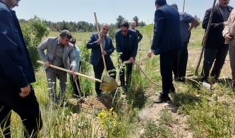 کاشت نهال امید؛ دکتر افلاطونی در چیتگر/ پیگیری علت خشکیدگی درختان و نظارت بر عملکرد شهرداری