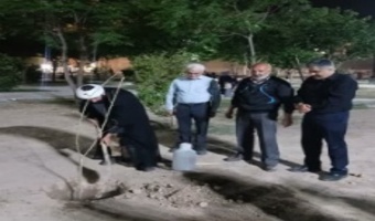 غرس ۱۰ اصله نهال مثمر در شهرک فجر ورامین در لبیک به پیام مقام معظم رهبری و پویش ملی «سرو ایران»