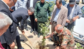 پویش نهالکاری در گلزار شهدای ملارد به مناسبت سوم خرداد و سالروز آزادسازی خرمشهر