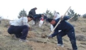 مراسم درختکاری در بوستان جنگلی جاجرود