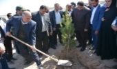 پویش درختکاری در شهرستان رباط کریم