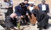 آئین کاشت نهال و اختصاص اراضی برای احداث فضای سبز