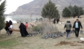 درختکاری علاقمندان طبیعت در لتیان (گزارش تصویری)