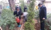 توسعه جنگل کاری و ایجاد فضای سبز یکی از نیازهای اصلی استان تهران است