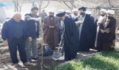 کاشت نهال توسط امام جمعه شهرستان ورامین