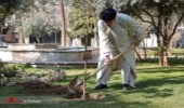 رئیس قوه قضاییه به مناسبت هفته منابع طبیعی، نهال کاشت