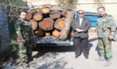 کشف محموله 2/5 تنی چوب جنگلی قاچاق در غرب استان تهران