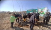برگزاری مراسم درختکاری در شهرستان فیروزکوه