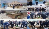 آغاز هفته‌ درختکاری با برگزاری مراسمی در بوستان راز شهرک مهر صفادشت شهرستان ملارد 