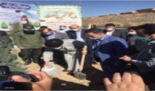 برگزاری مراسم درختکاری در شهرستان پردیس   