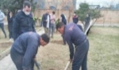   نهالکاری در شهرستان پاکدشت 