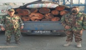کشف و ظبط  1300  کیلو چوب قاچاق در شهرستان بهارستان 