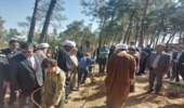 احیای بوستان جنگلی در روز ملی درختکاری