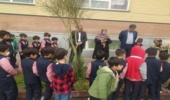 آموزش کاشت نهال در مدرسه ابتدایی شهرستان ورامین 