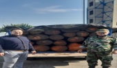 کشف و ضبط 1400 کیلو گرم   چوب قاچاق در شهرستان بهارستان 