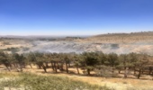 آتش‌سوزی ۲۰۰ مترمربعی در پارک یاس فاطمی شمیرانات مهار شد.