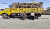 توقیف محموله ۶ تنی چوب قاچاق در شهرستان ورامین و قرچک