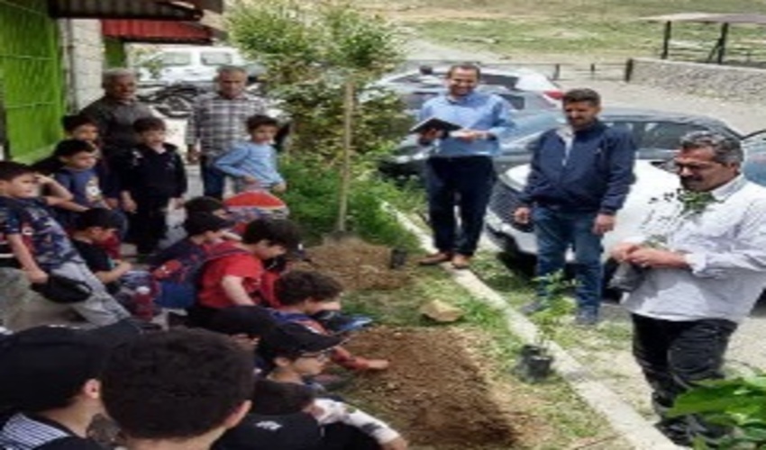 کاشت نهال امید توسط دانش‌آموزان پیش‌دبستانی گلندوک در لبیک به پیام مقام معظم رهبری و پویش ملی «سرو ایران»