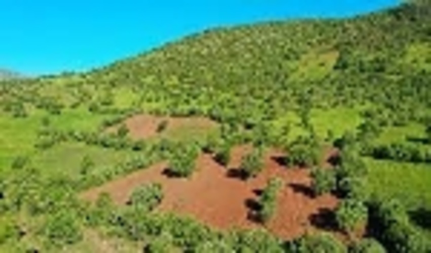 اجرای طرح کاداستر در اراضی ملی