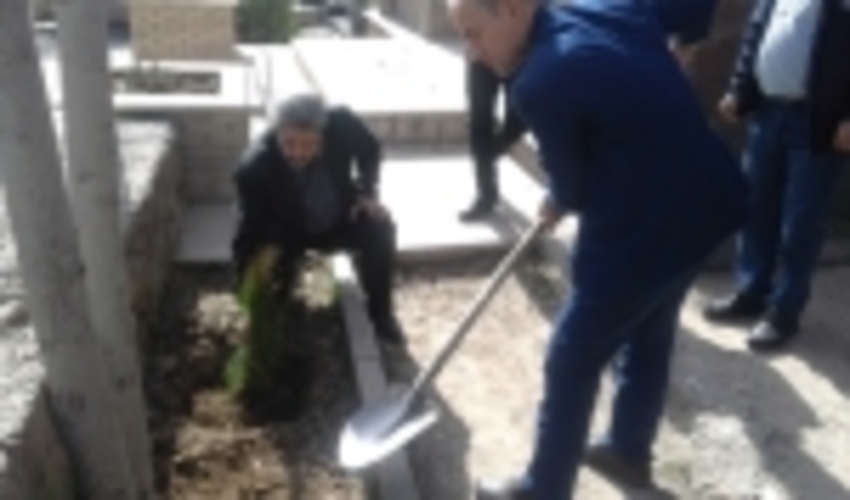 آئین های کاشت نهال در شهرستان دماوند