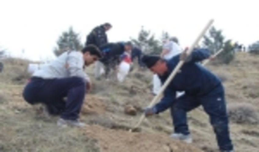 مراسم درختکاری در بوستان جنگلی جاجرود