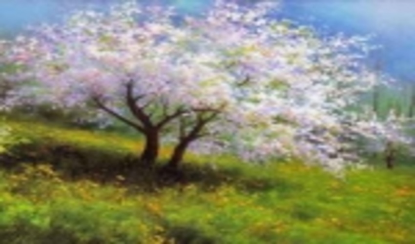 در روز طبیعت نیروهای منابع طبیعی در کنار مردم خواهند بود