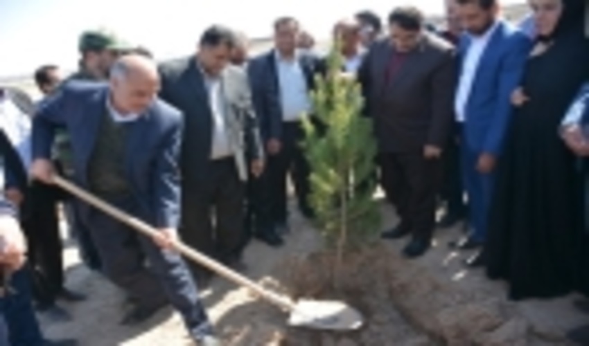 پویش درختکاری در شهرستان رباط کریم