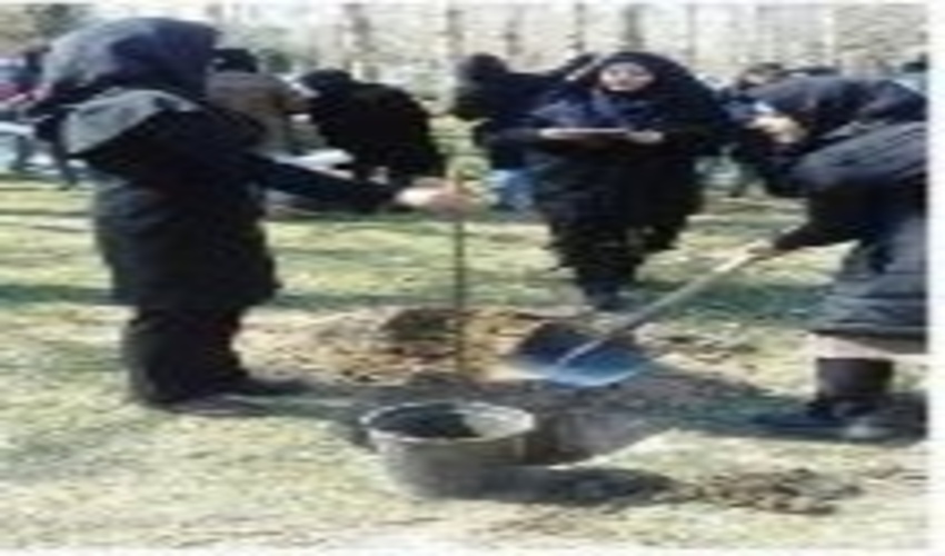 400 اصله نهال در پردیس ابوریحان دانشگاه تهران کاشته شد