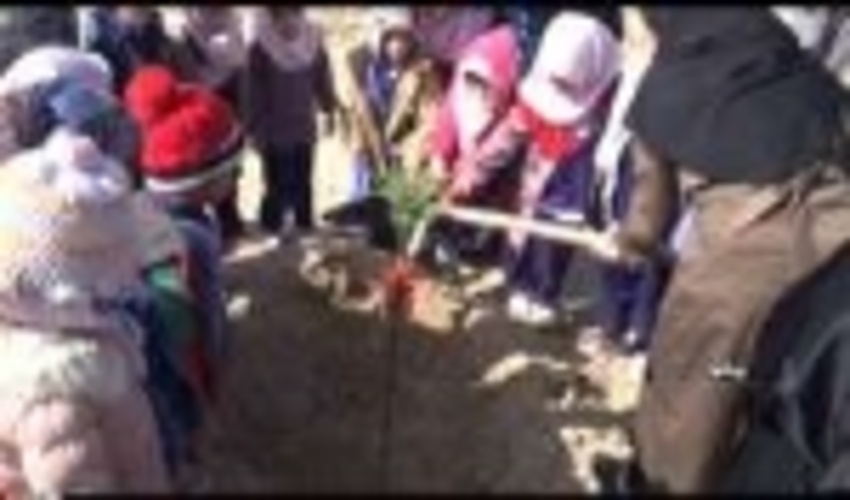 غرس نهال در هفته درختکاری در شهرستان پیشوا