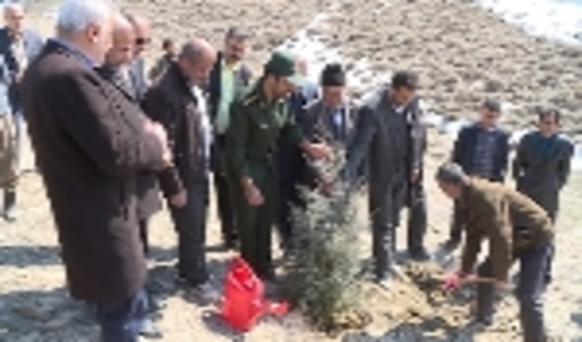 آغاز طرح جنگل کاری 70 هکتاری