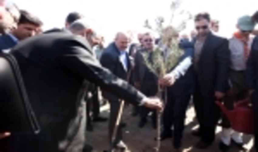 غرس نهال توسط معاون رئیس جمهور در پارک جنگلی ثامن‌الائمه(ع) قم