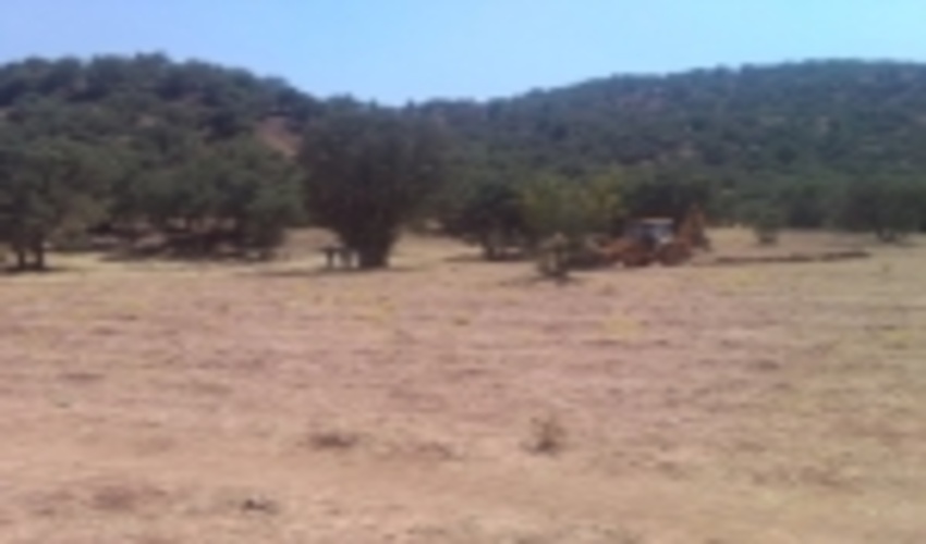 صدور سند تک برگ برای 11 هزار و 700 هکتار از اراضی ملی و دولتی دماوند