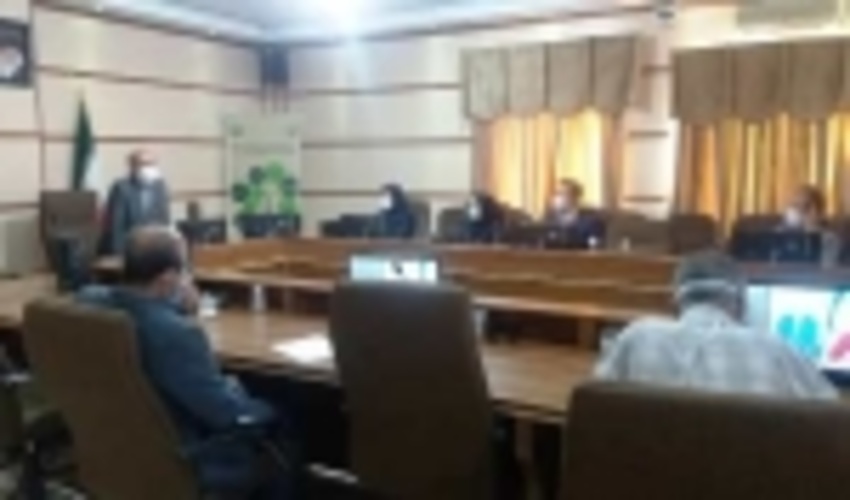 لازمه توسعه جنگل کاری و افزایش سرانه فضای سبز تولید نهال سالم و بومی است