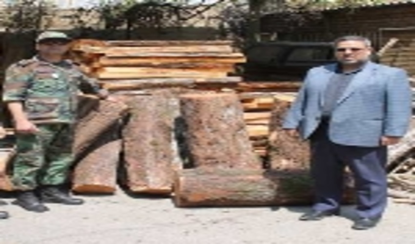 3/5 تن چوب قاچاق در شهریار کشف شد