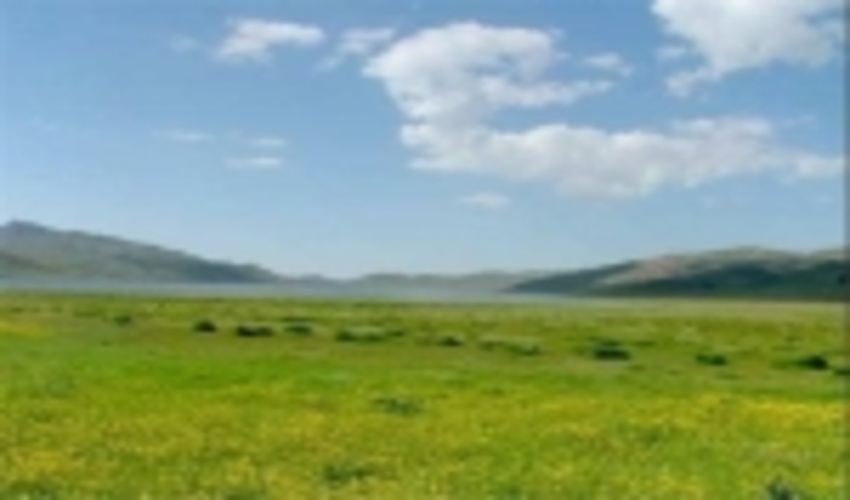 بهره برداری از مراتع استان تهران باید به صورت اصولی انجام شود