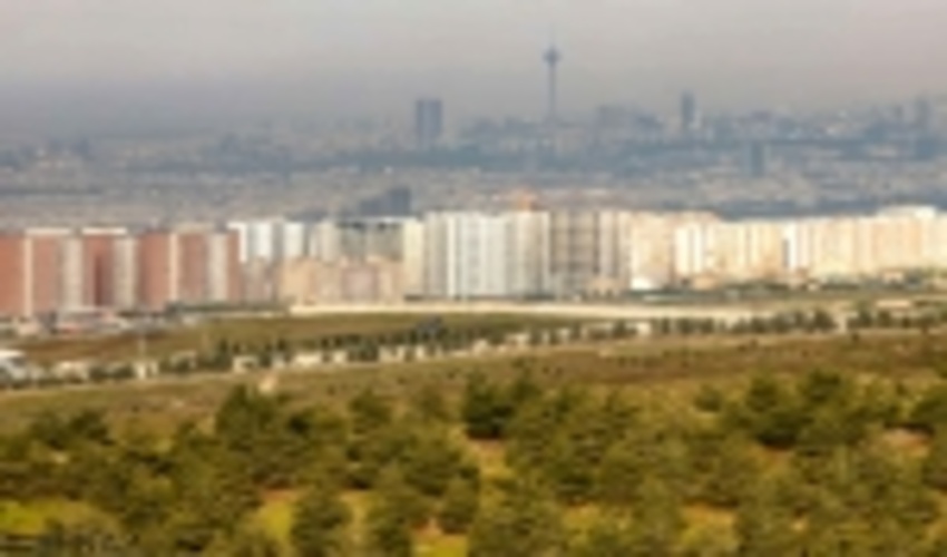 هزار هکتار از کمربند سبز پایتخت جنگل کاری شد