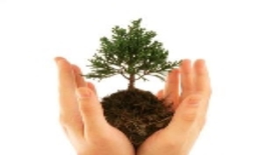 برنامه ریزی بزرگداشت هفته منابع طبیعی در استان تهران آغاز شد