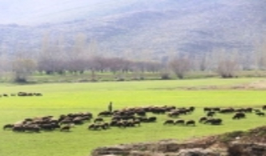 مرتع‌داران مجوز خود را تمدید کنند